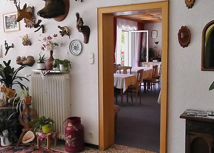 贾尼施里酒店 招待所