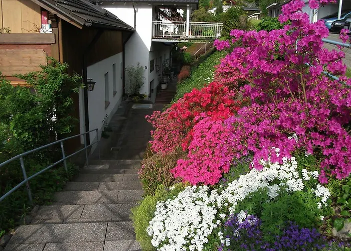 招待所 贾尼施里酒店 3*