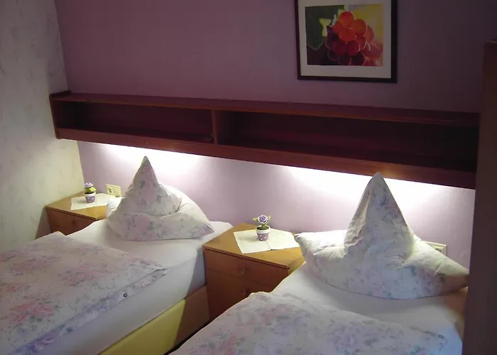 贾尼施里酒店 3* 沃尔法赫